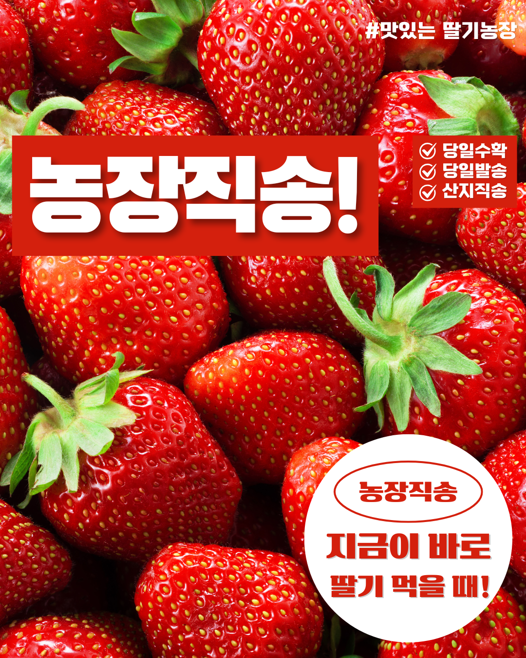 메타 광고 이미지